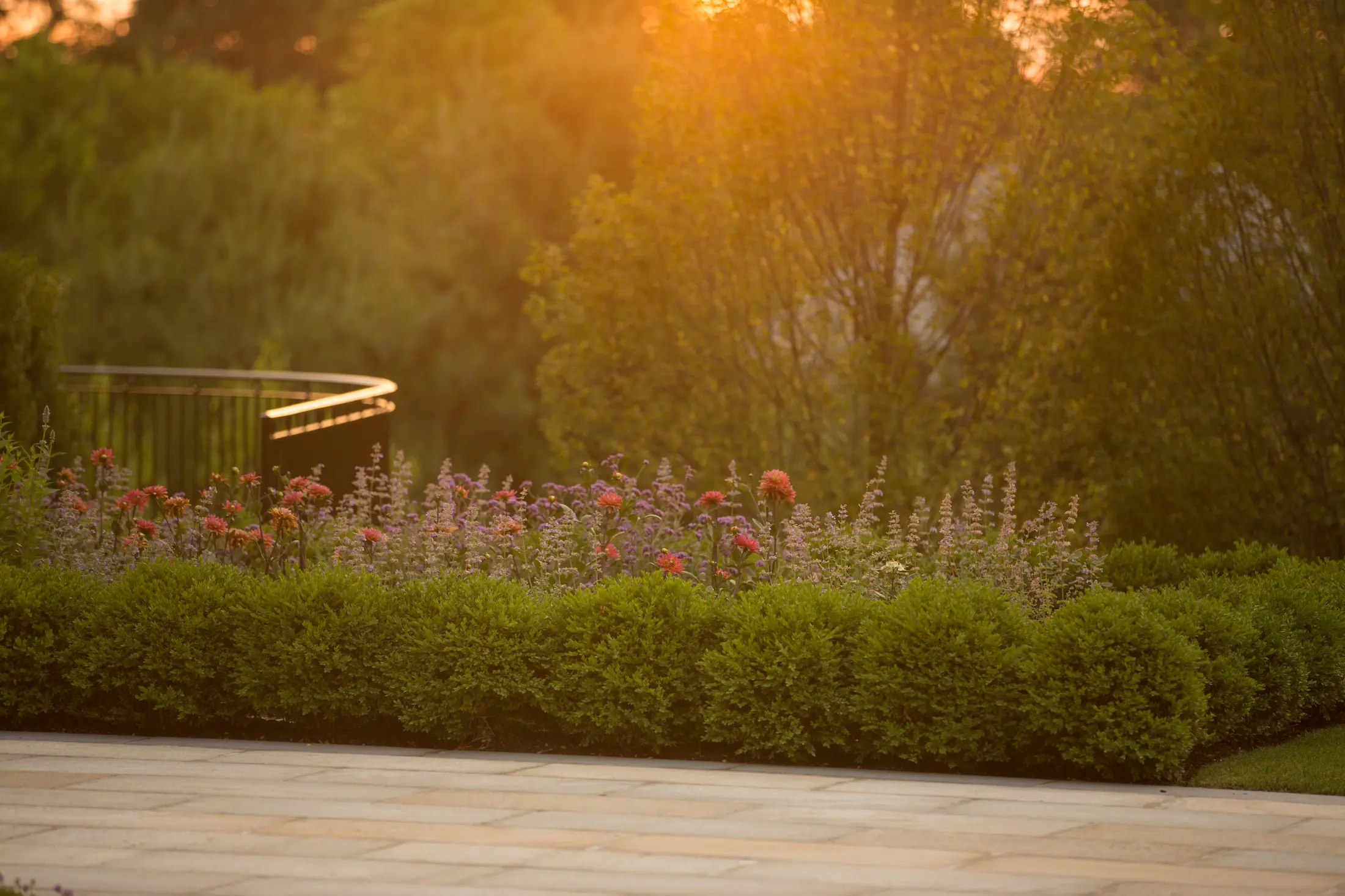 Dancer & Co — Contact