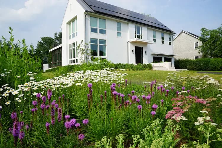 Portfolio — Dancer & Co