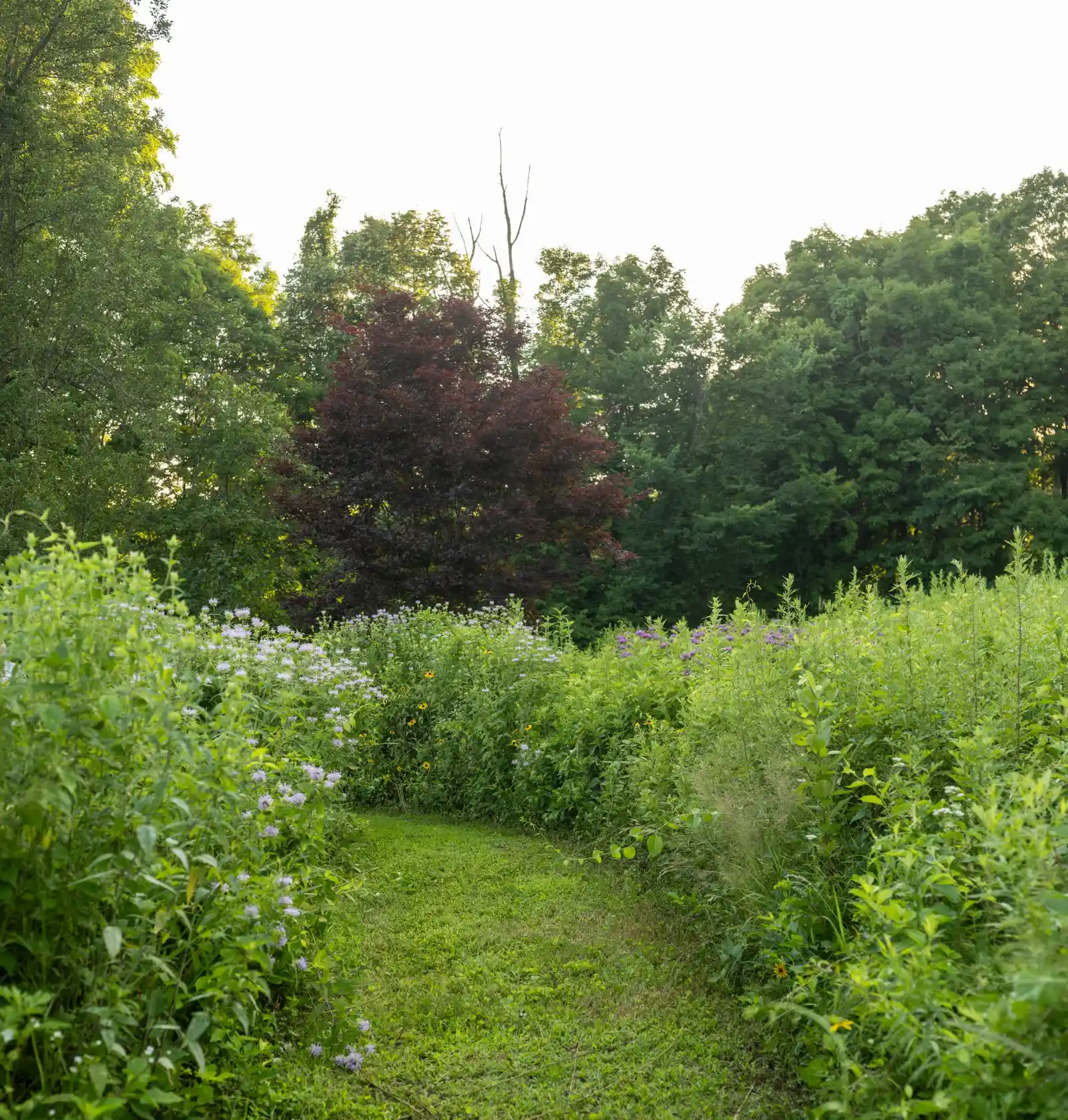 Modern Country Retreat 10