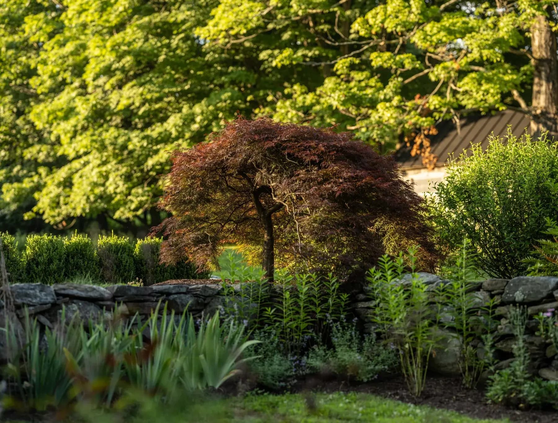 Modern Country Retreat 5